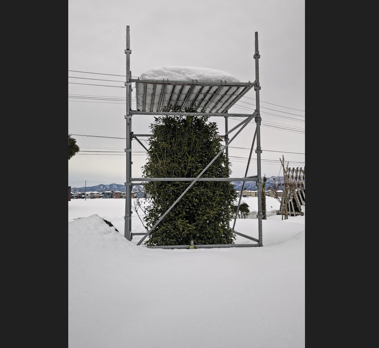 足場雪囲い